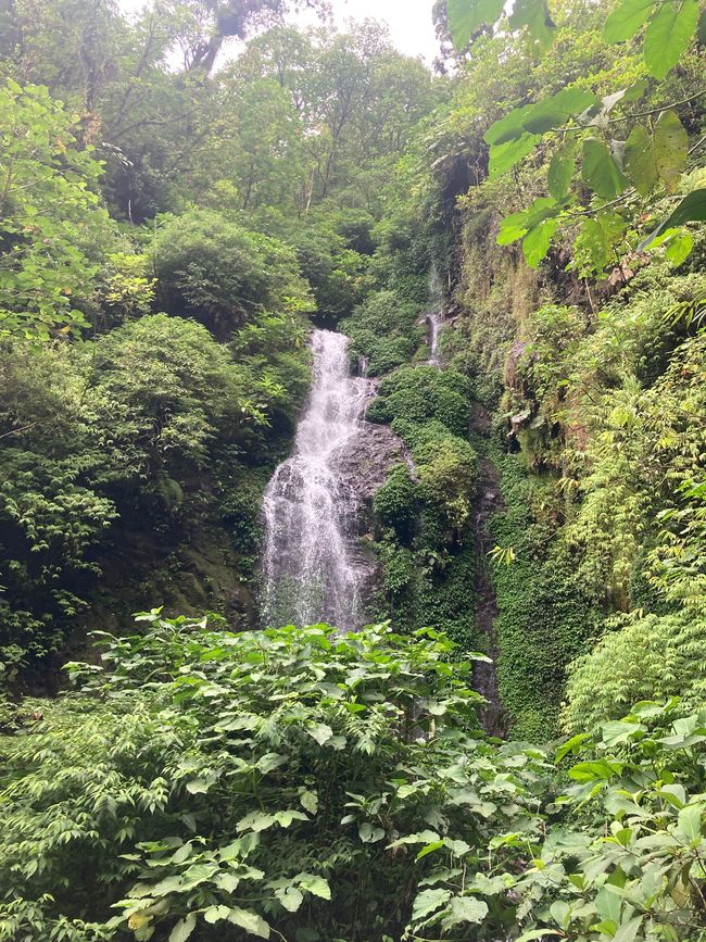 Monteverde