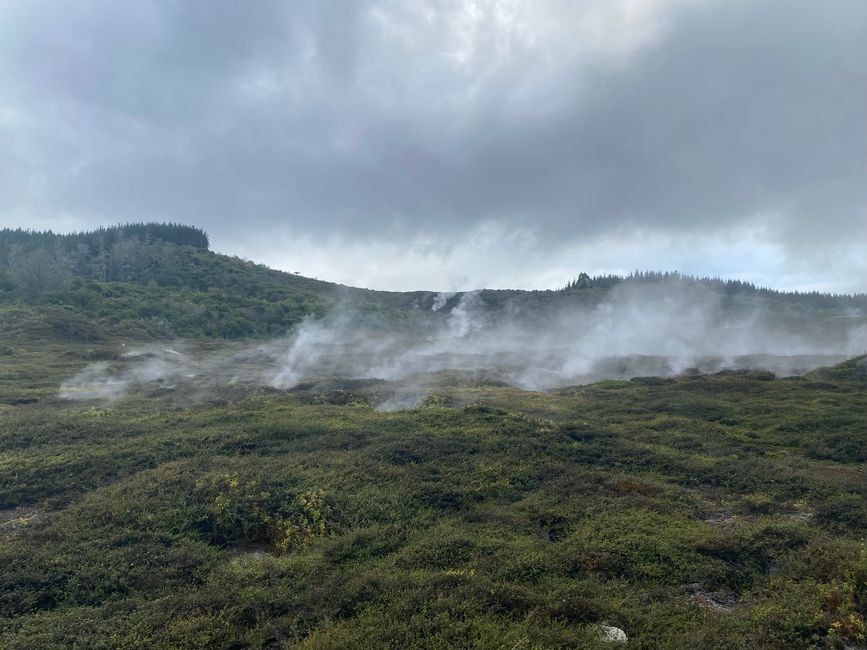 Taupo