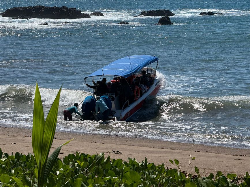 BLOG 15: En barco al Parque Nacional Corcovado
