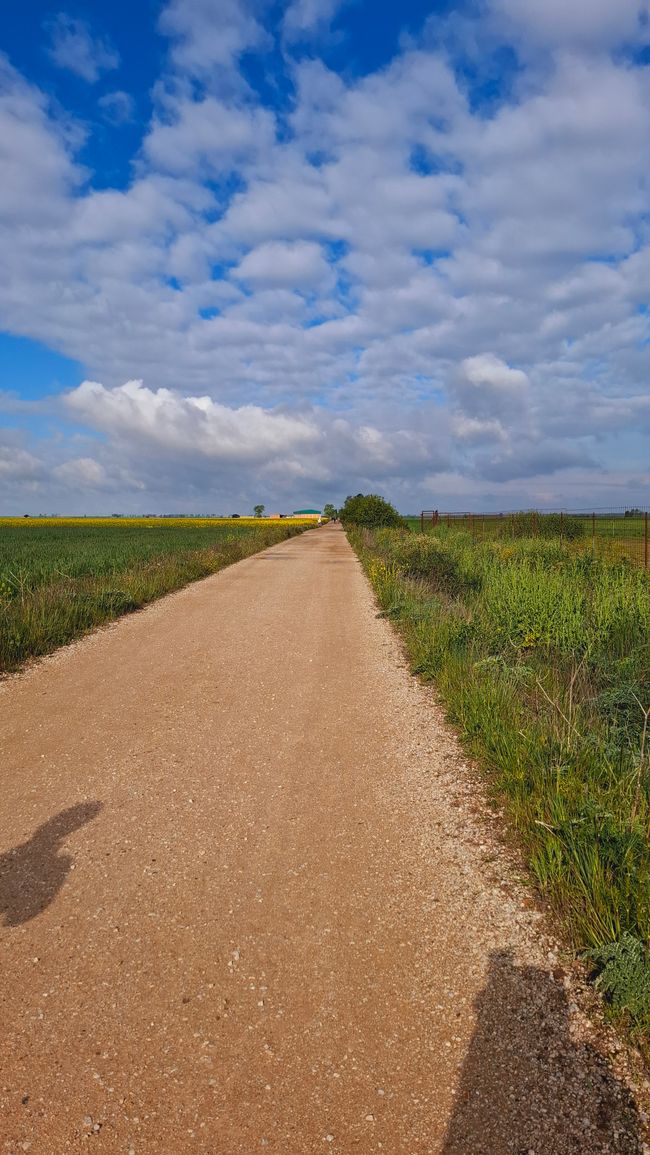 Moitié du chemin français en Espagne 