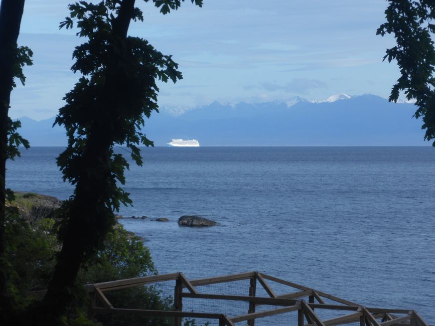 2025-05-21 Vancouver Island Wwoof