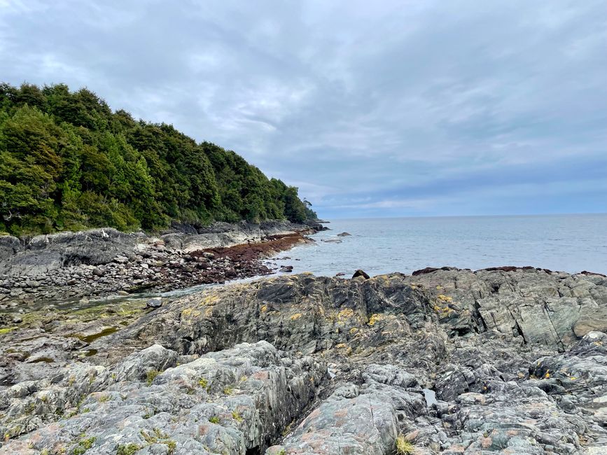 The first national park: Pumalin