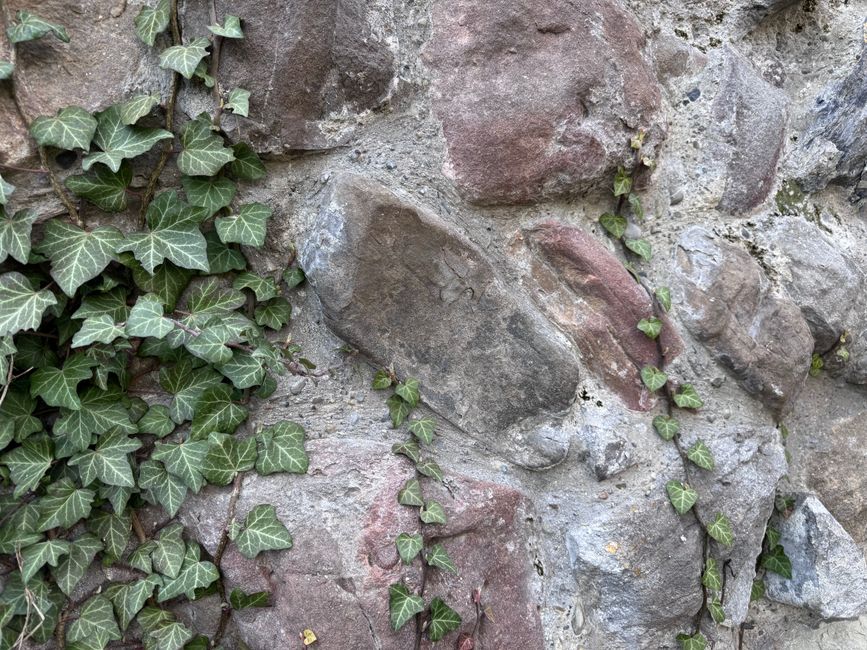 Schottisches Südamerika