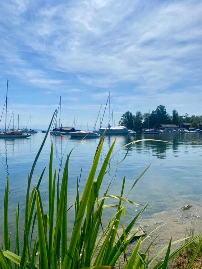 📍Starnberger See, Bavaria