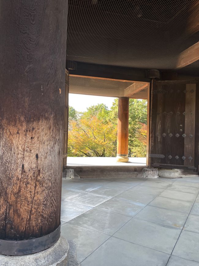 8. Chapter:
Blessed sitting through Kyoto