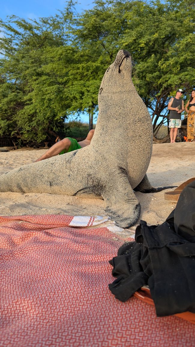 Galapagos Islands