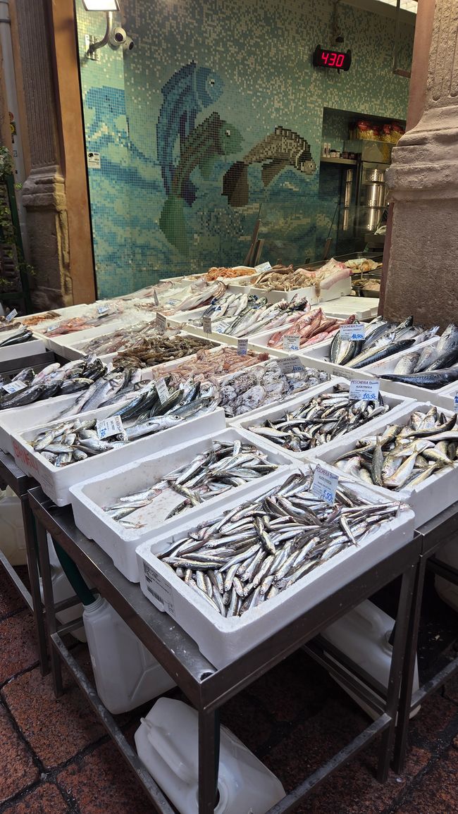 Pescados...