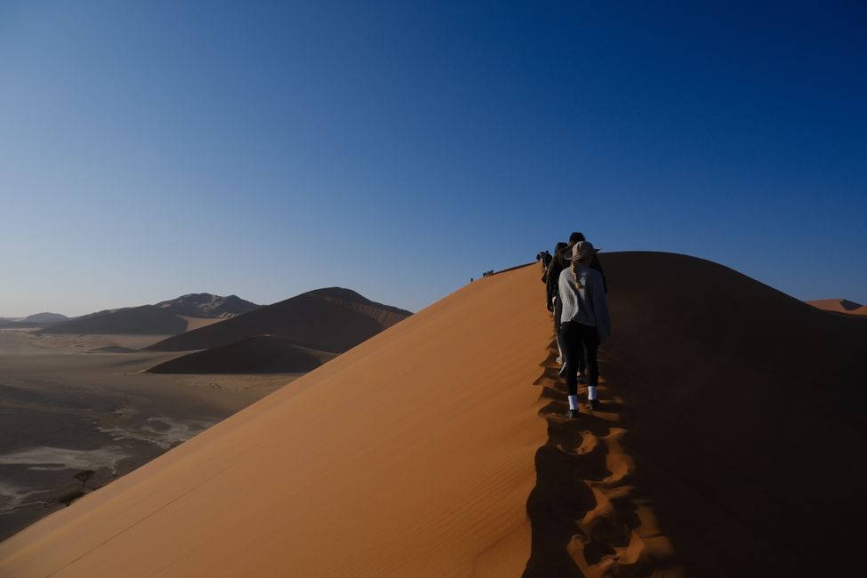 Desierto de Namibia 🏜️