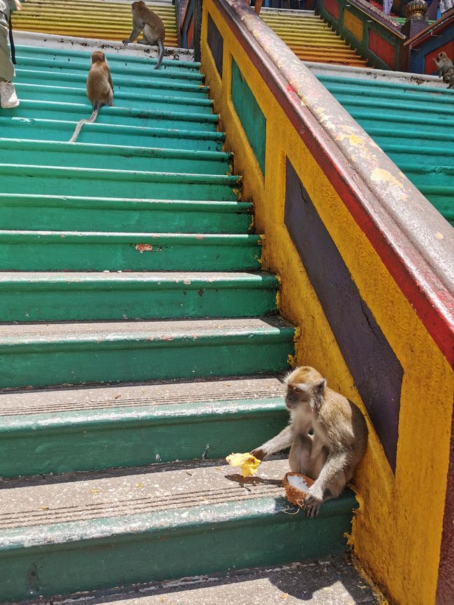 ... quelqu'un doit probablement monter les escaliers pur avec ses péchés ...