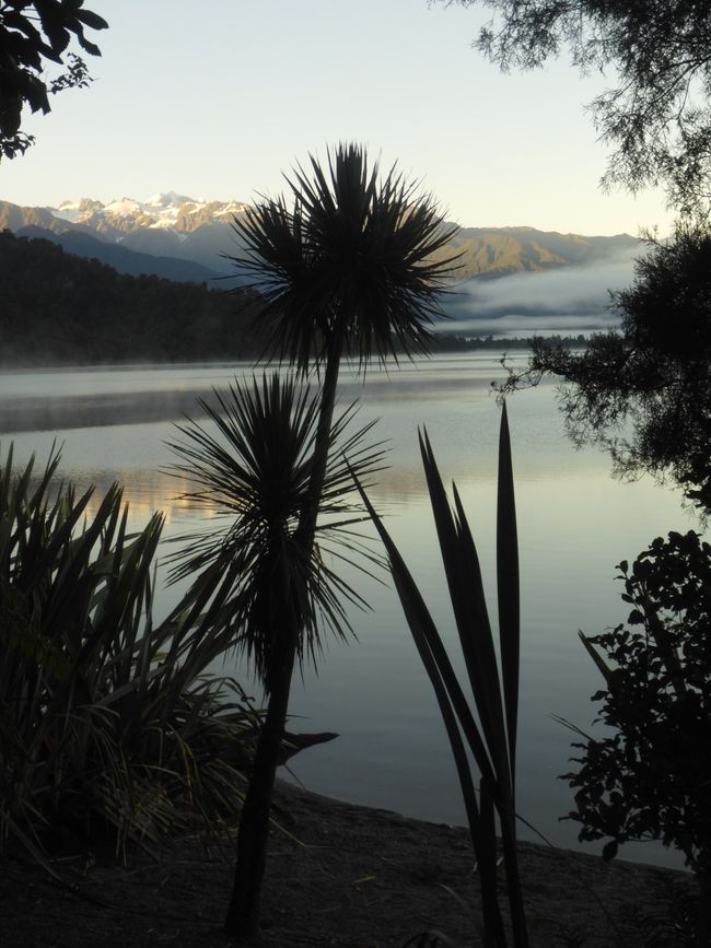 2025-03-11 Côte ouest NZL Partie 2