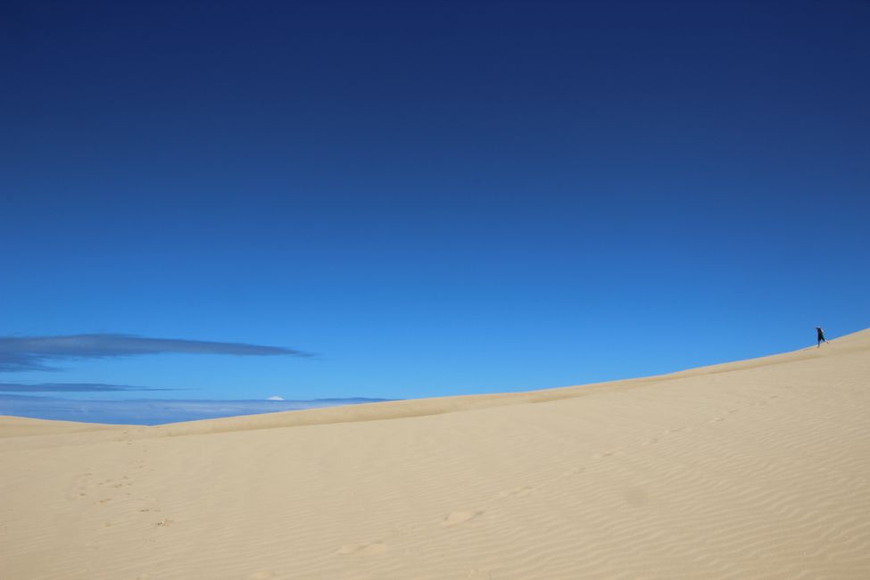 Sand dunes in the middle of nature