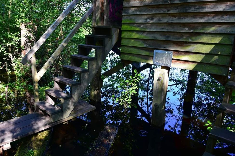 * * * Zwischen Himmel und Wasser * * *

Ein Spaziergang durch das Weingartener Moor