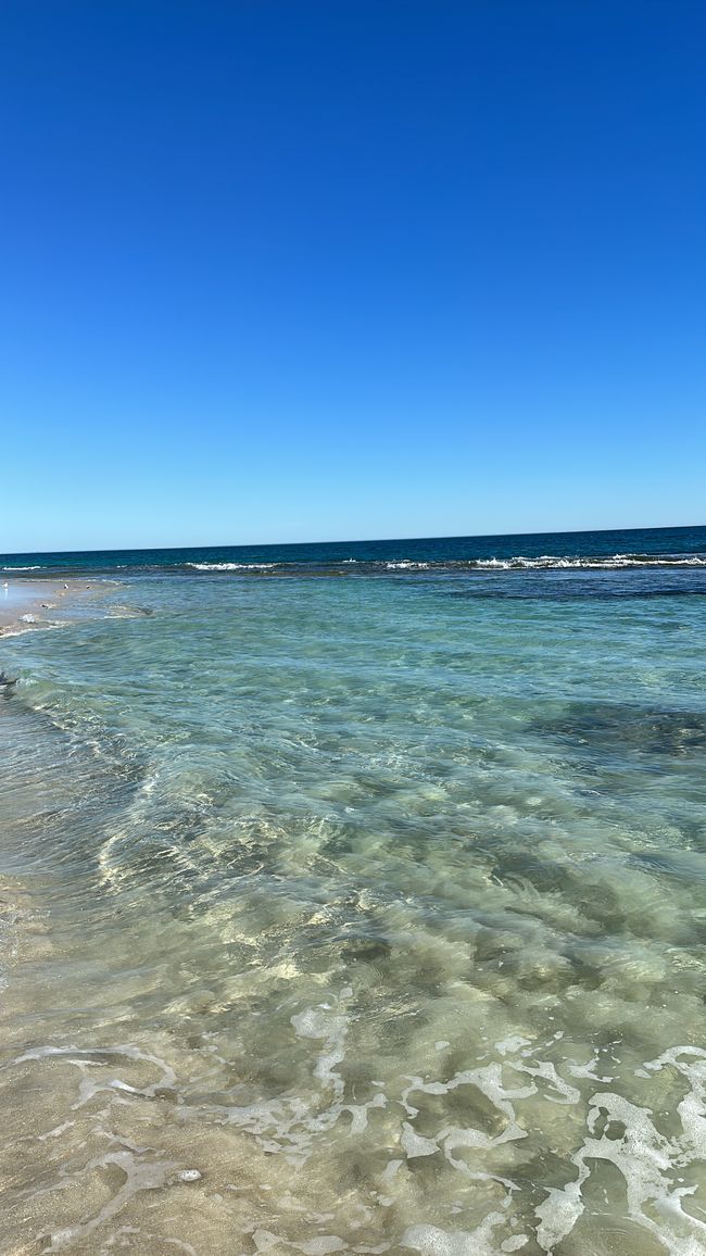 A day in Yanchep Lagoon: Western Australia you are DIFFERENT 🤩❤️
