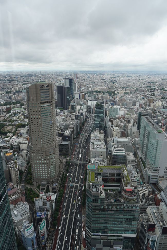 Shibuya y Sumo