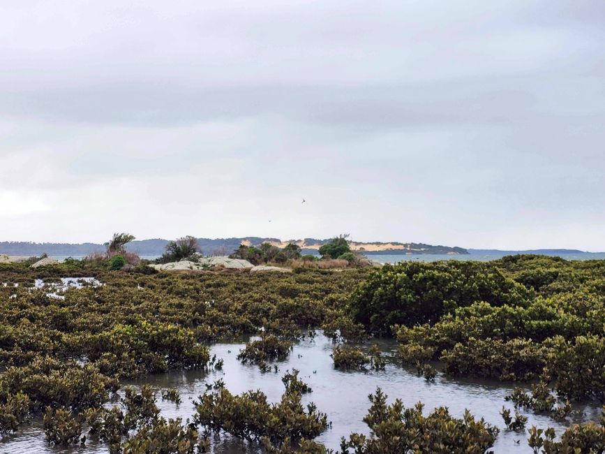 Wilsons-Promontory-Nationalpark