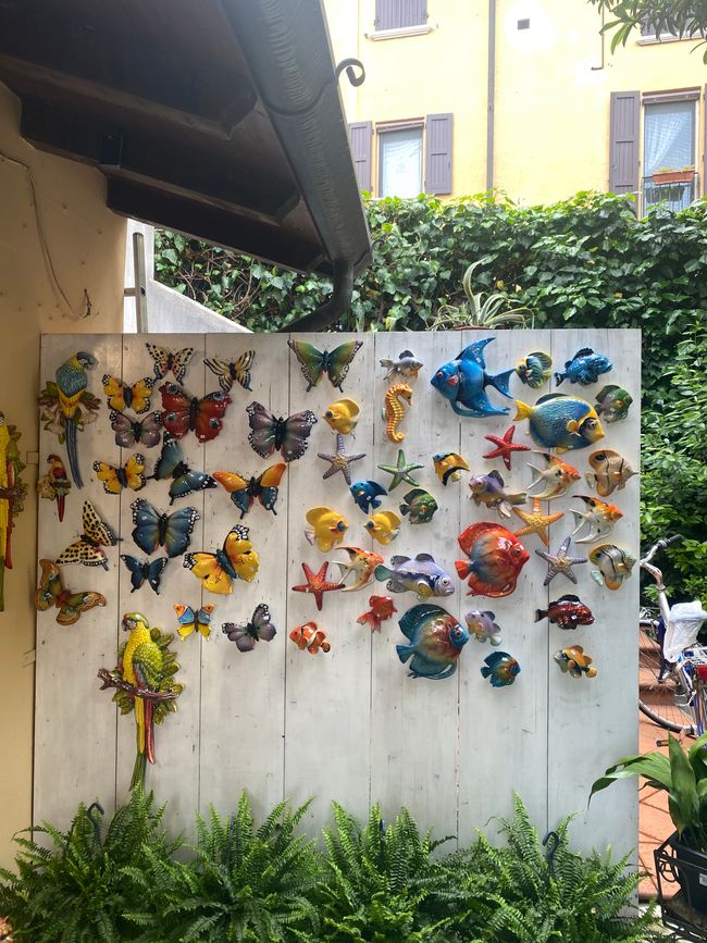 Traumtourtage Gardasee 8.Tag