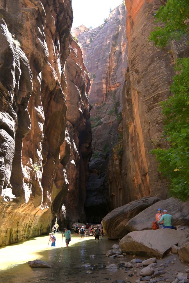 Wanderung durch die Narrows