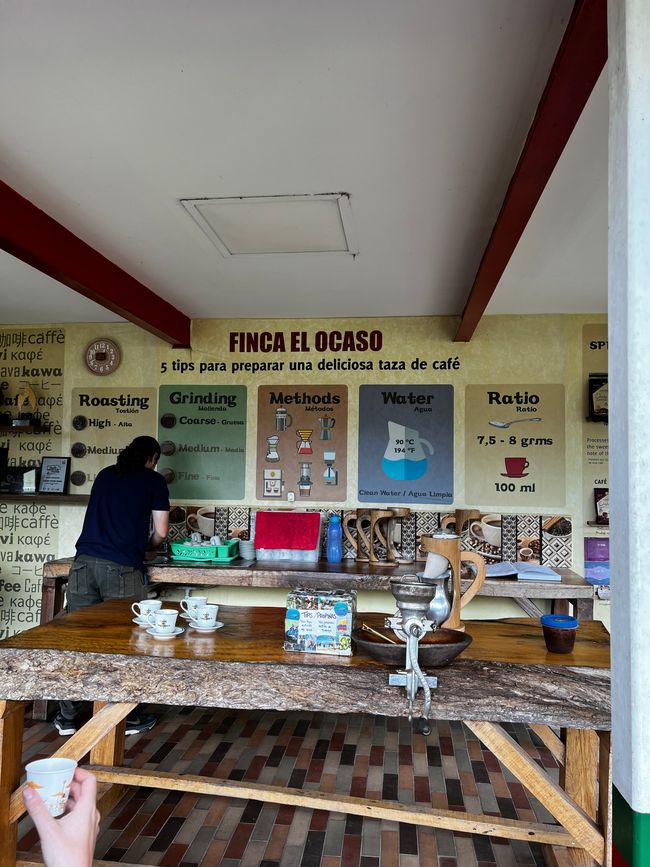 El Ocaso Coffee Farm