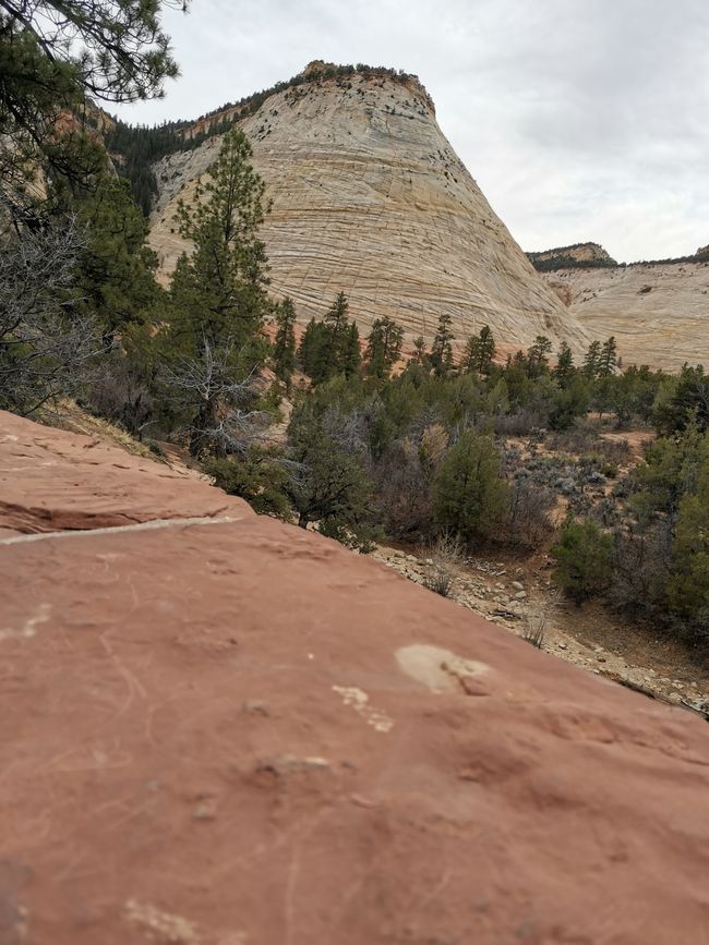 Grand Canyon... und mehr... 