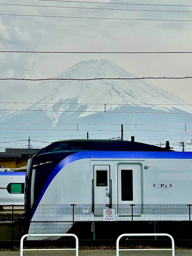 Parte 7
BENVENUTO IN GIAPPONE 🇯🇵
TOKYO
