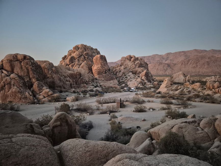 Joshua Tree