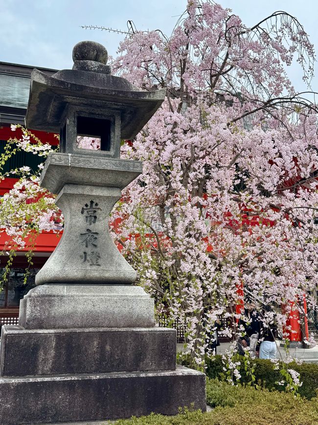Part 8 Japan 🇯🇵 Kanazawa