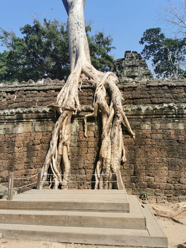 On Temple Tour in Siem Reap