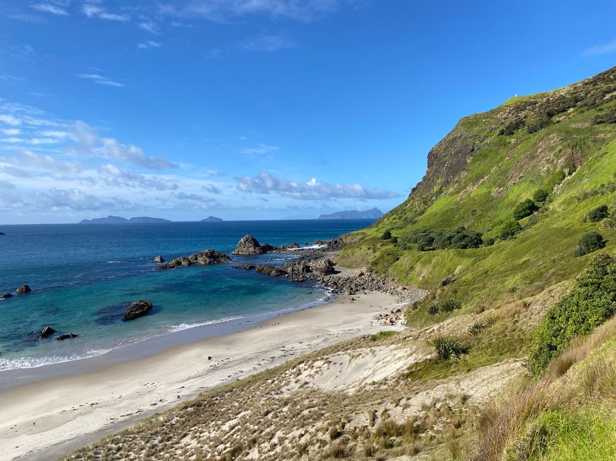 De whangarei à auckland