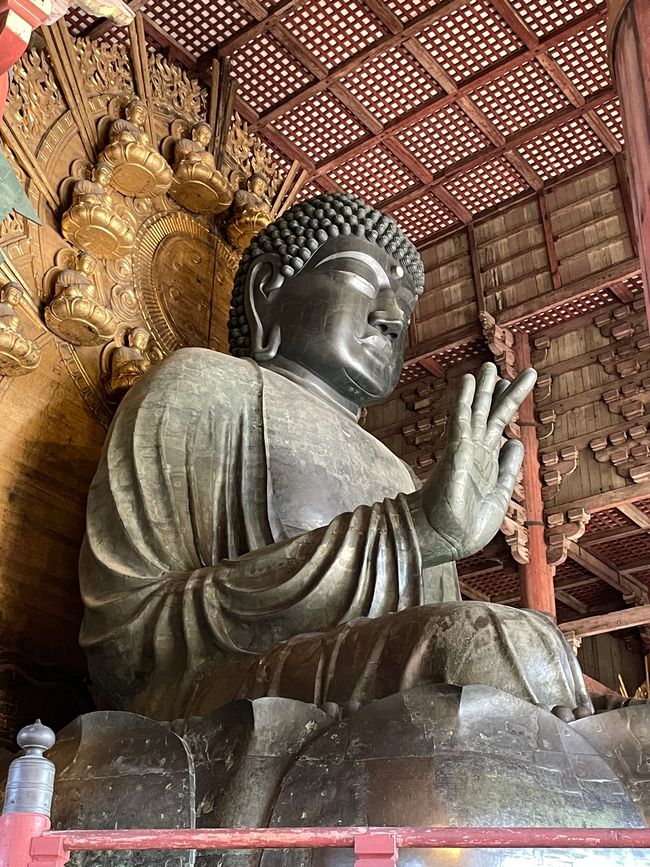 15. Capitolo: Visita al grande Buddha e sabato pomeriggio nel parco con proposta dal vivo
