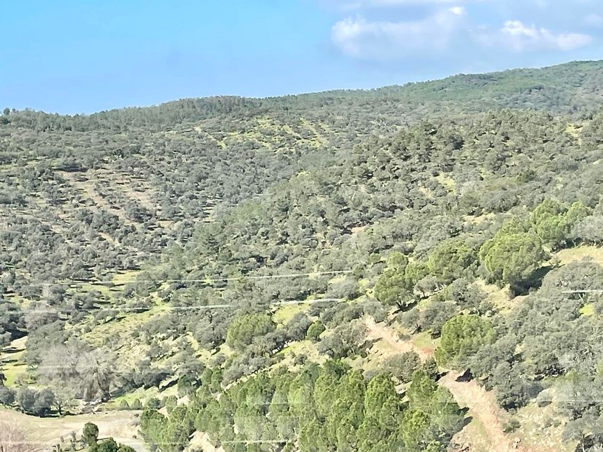 und Grün, wohin, das Auge reicht.