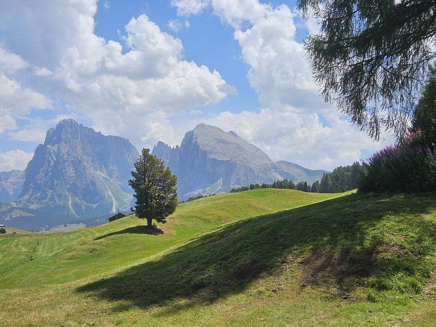 Seiser Alm