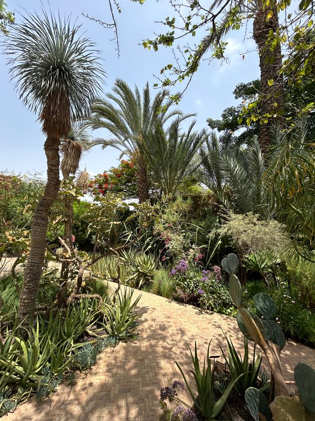 Marrakesch - nach Marokko wollte ich schon immer mal