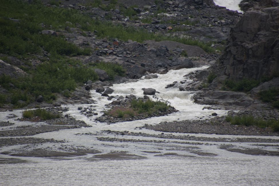 Bear Glacier