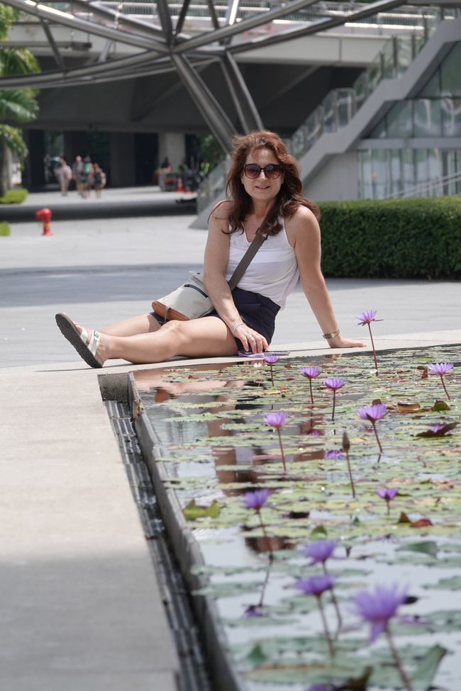 Am Seerosenteich (Grüße gehen an die Seerosengruppe raus)