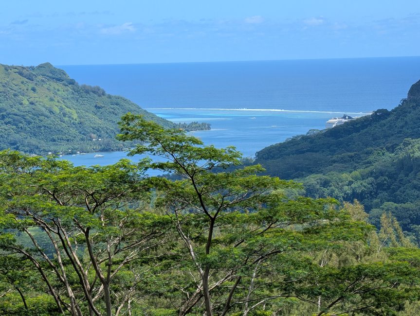 50.Tag 23.2.25 Moorea