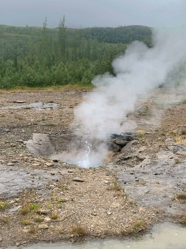 Reikiavik, 31 de agosto de 2024