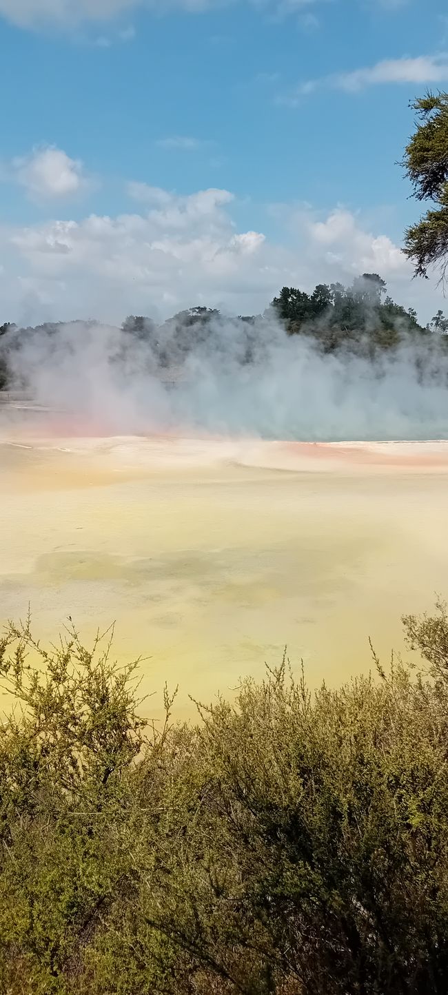 Wai-O-Tapu / Rotorua