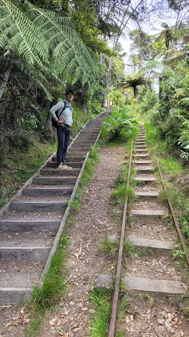 On the Trail of the Gold and Ore Mine in the Karangahake Gorge