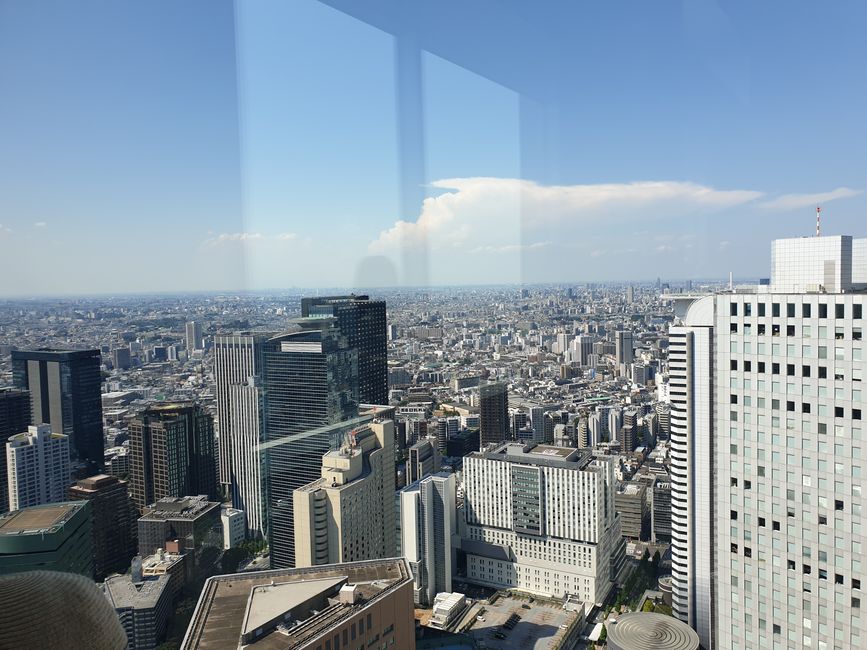 Tokyo from above