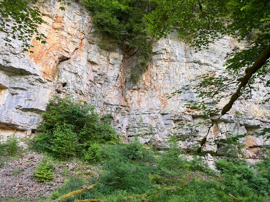 28 Wutachschlucht Pro Wolermoos
