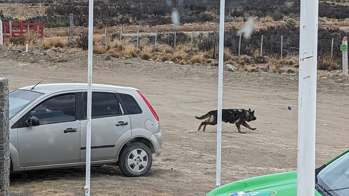 Mit dem Drogenkurier nach El Calafate :-)