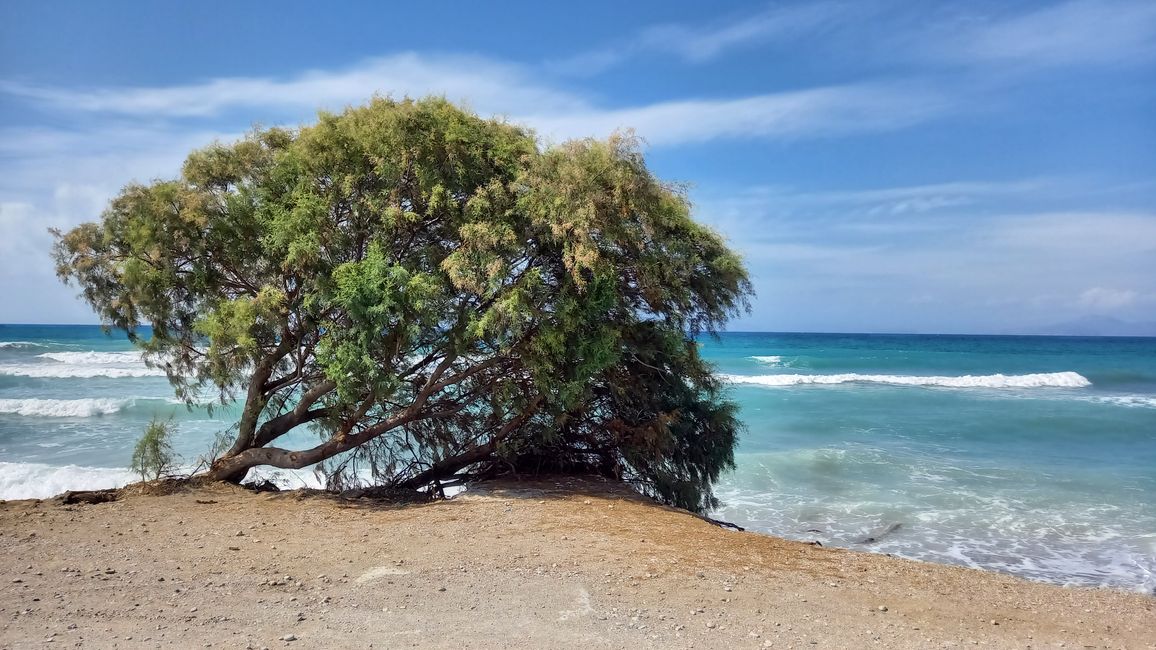 Kurztrip nach Rhodos 