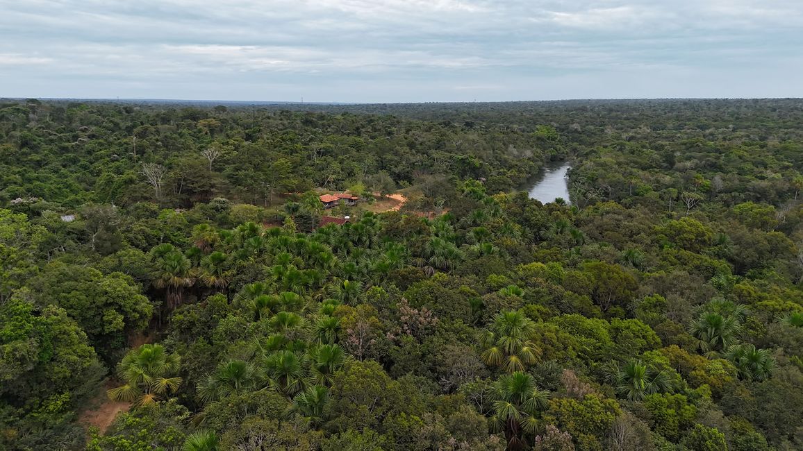 En la selva subtropical cerca de Pousada Bom Jardim