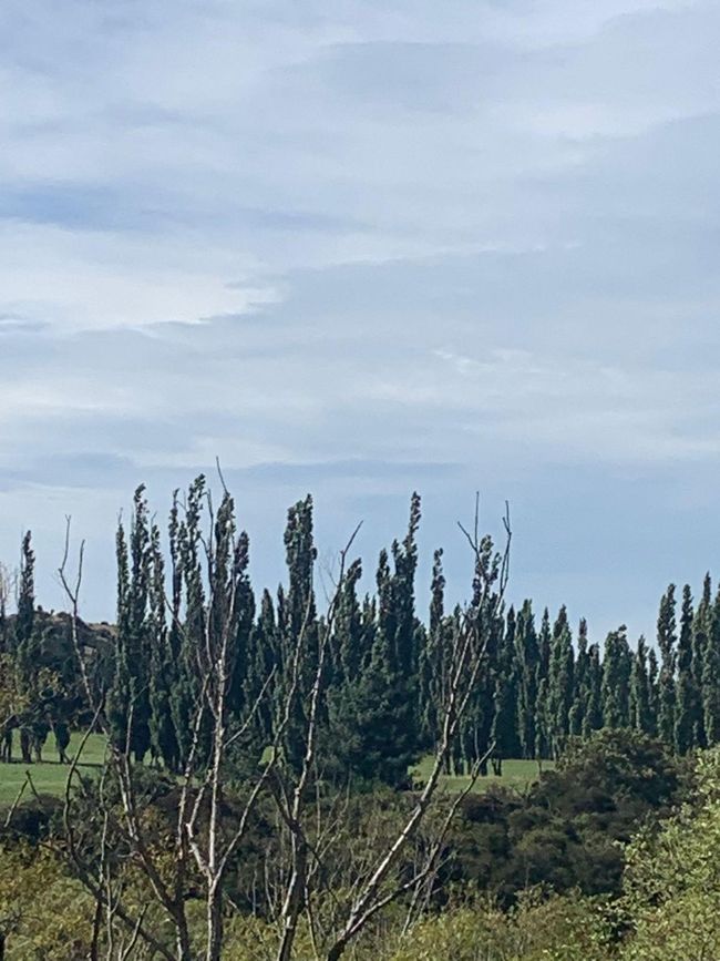 Überall in NZ komplett unterschiedliche irre Landschaften!
