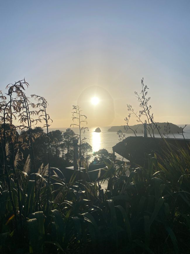 Coromandel loop