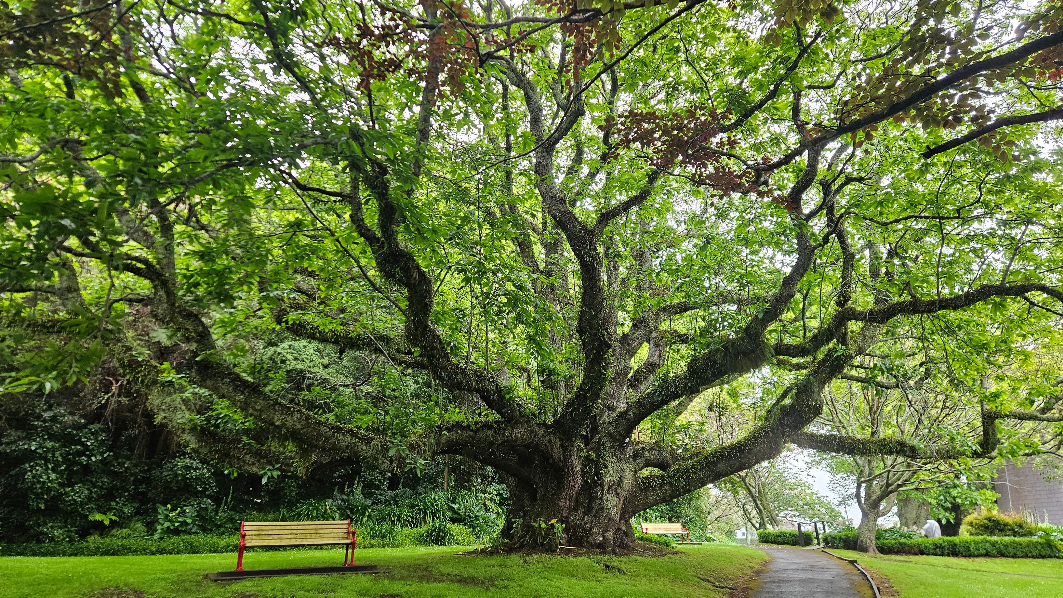 New Plymouth