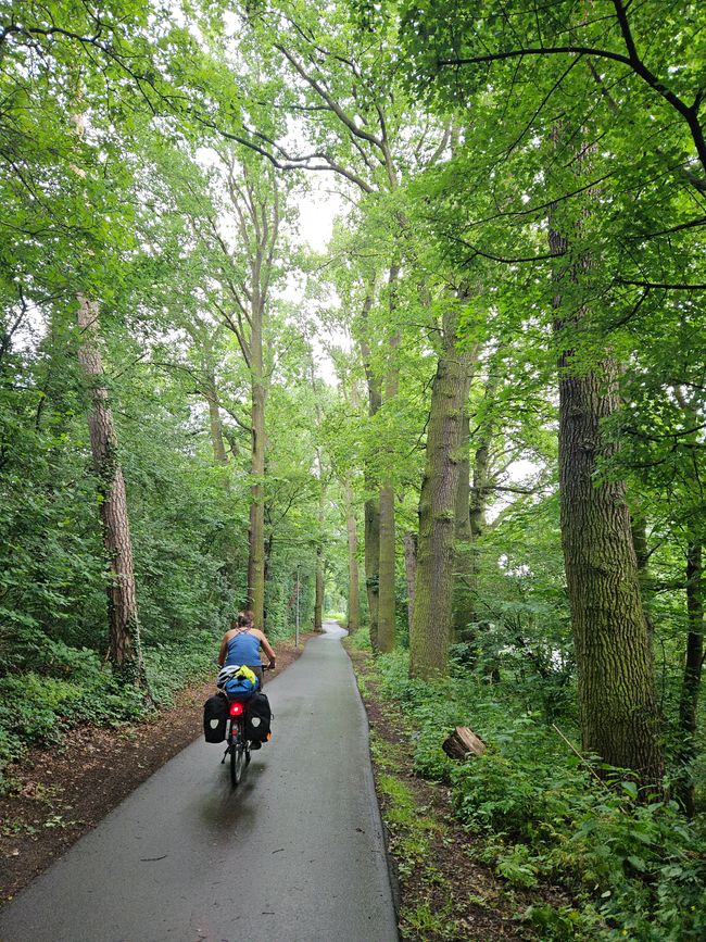 Cycle superhighway in Fürth