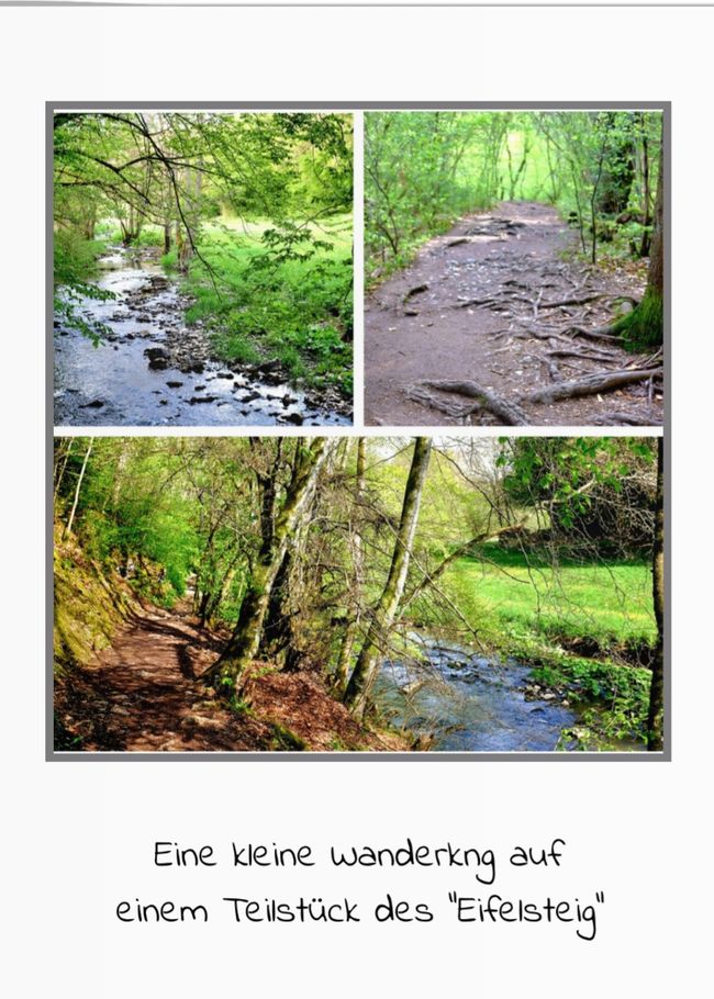 Not only fly fishing at the Kyll/Eifel
