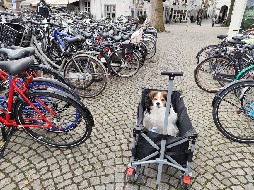 Une petite belle pause à Maastricht (Pays-Bas) après un rendez-vous à Aix-la-Chapelle (D)