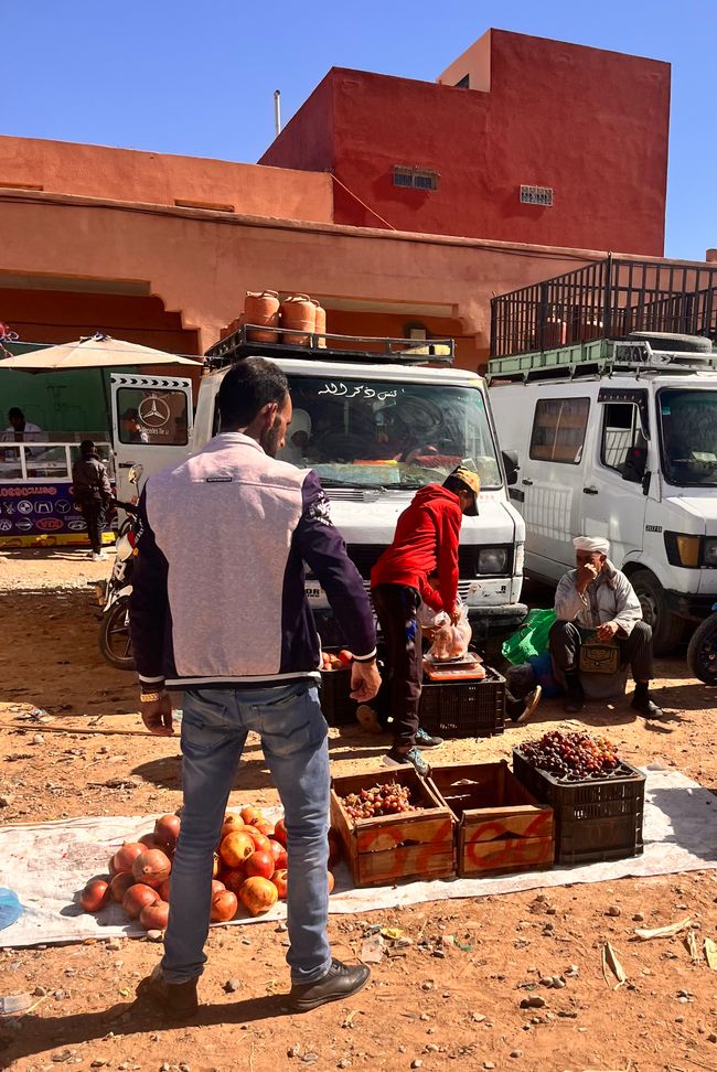 Everyone has something to offer, even on the ground - in the background the indispensable MB buses